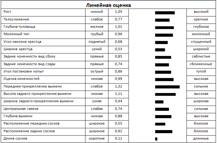 Линейная оценка быка РАНГ 242209 ET