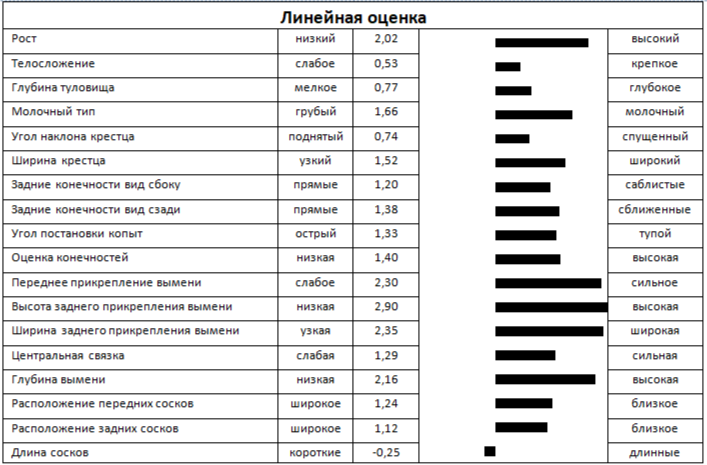 Линейная оценка быка РУБИН 242207 ET