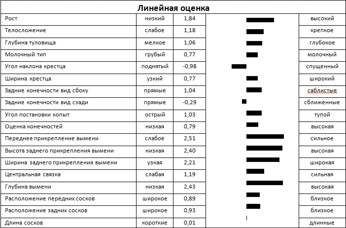 Линейная оценка быка ЖОКЕЙ 5847 ET