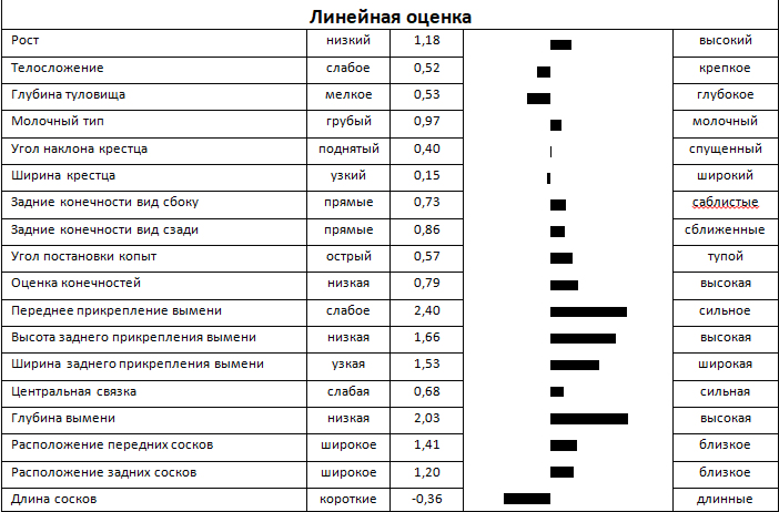 Линейная оценка быка РАЙДЕР 76404