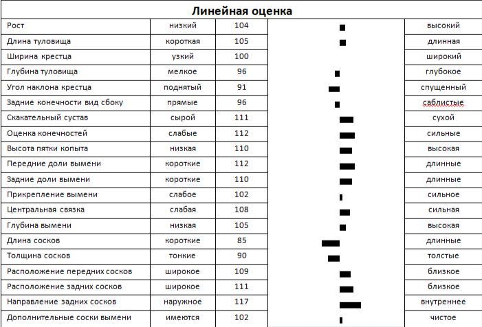 Линейная оценка быка ВИНТЕРДРИМ 588 ET
