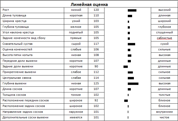 Линейная оценка быка ВИННЕР 688
