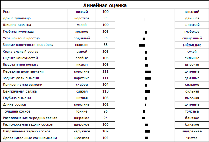 Линейная оценка быка ГЕРМЕС 14208