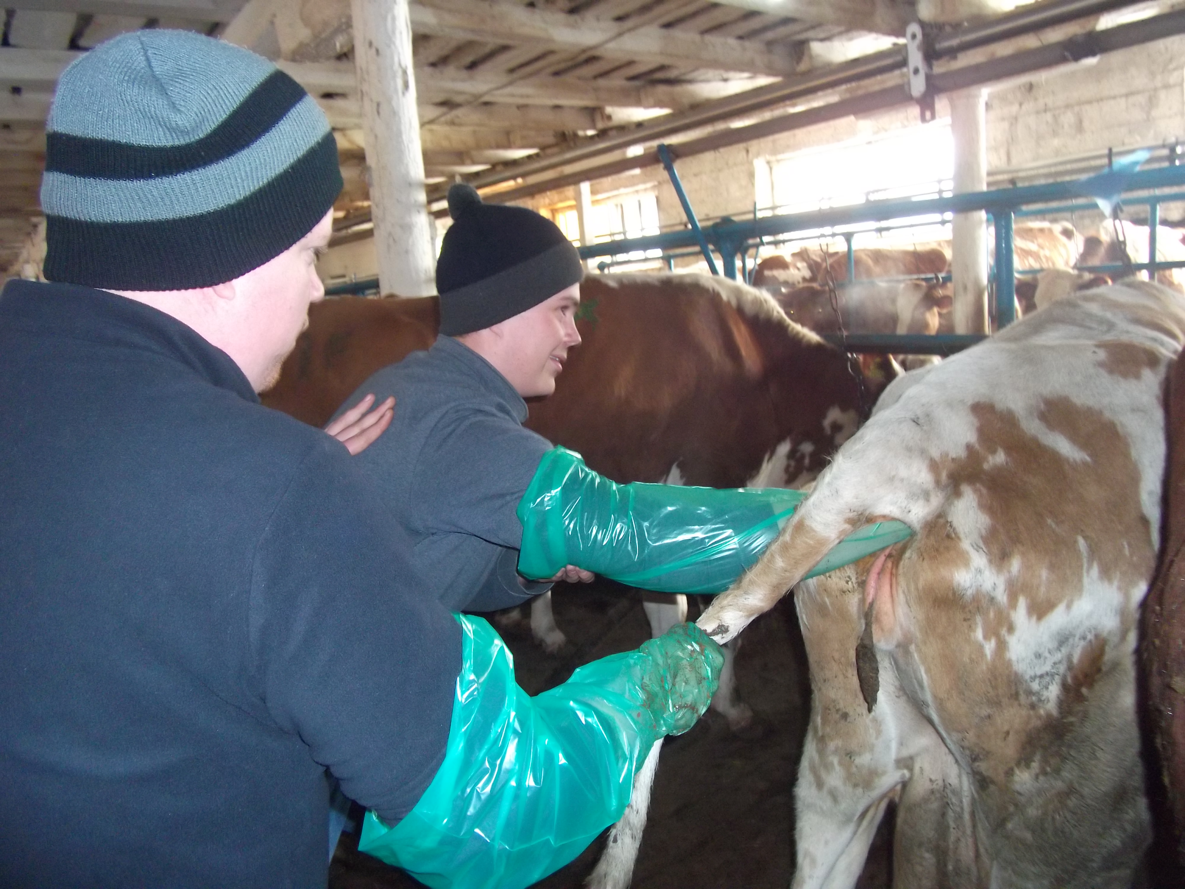 Программа "Агрошкола"