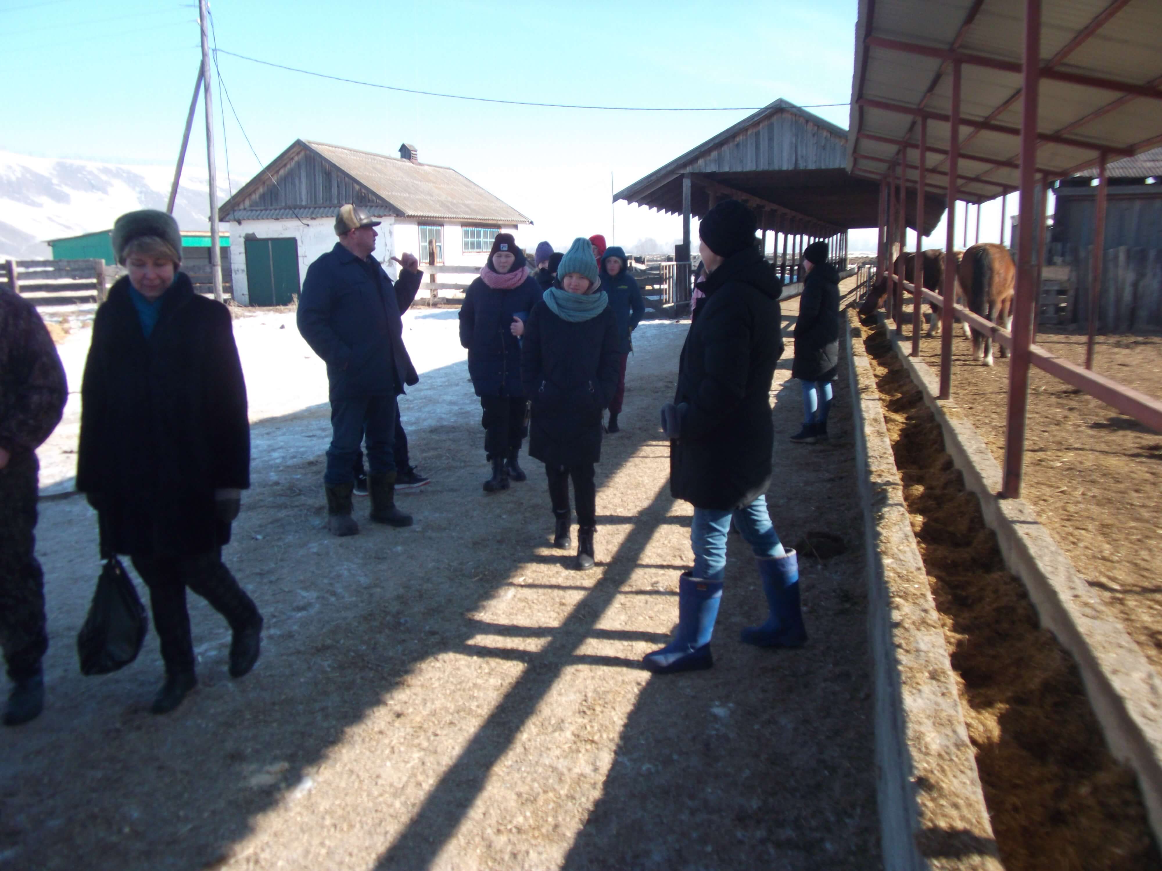 Миниатюра 8