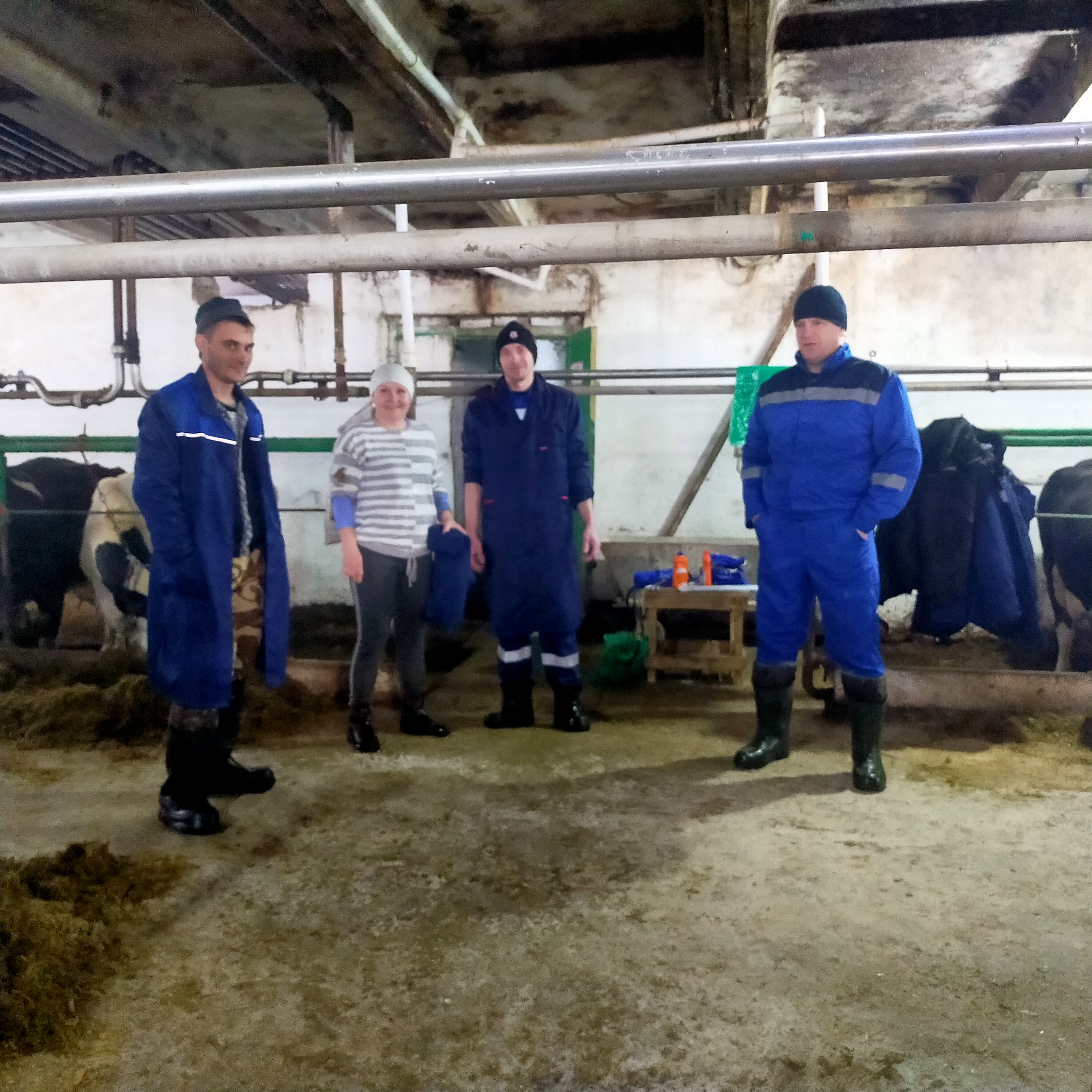 Миниатюра 4