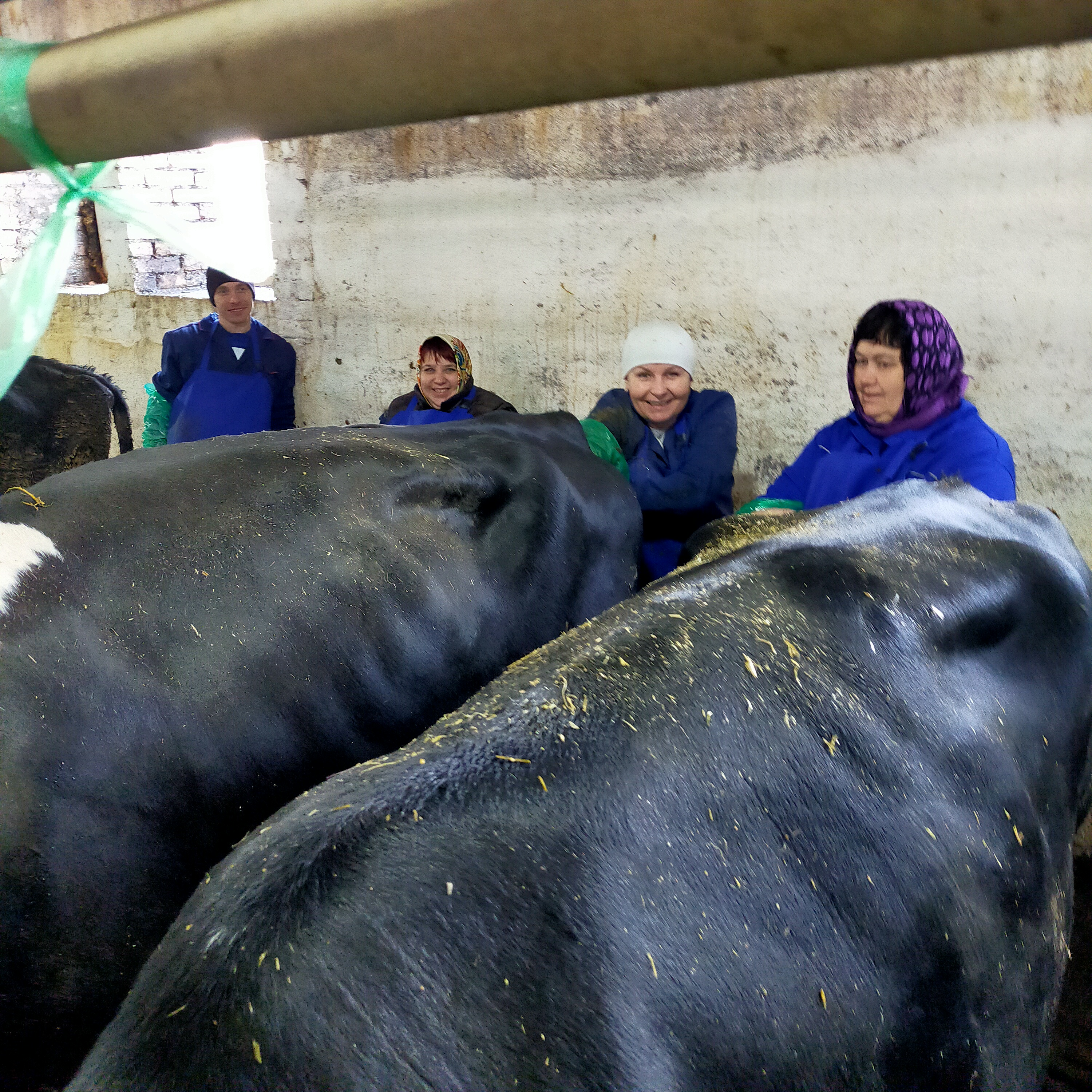 Миниатюра 6