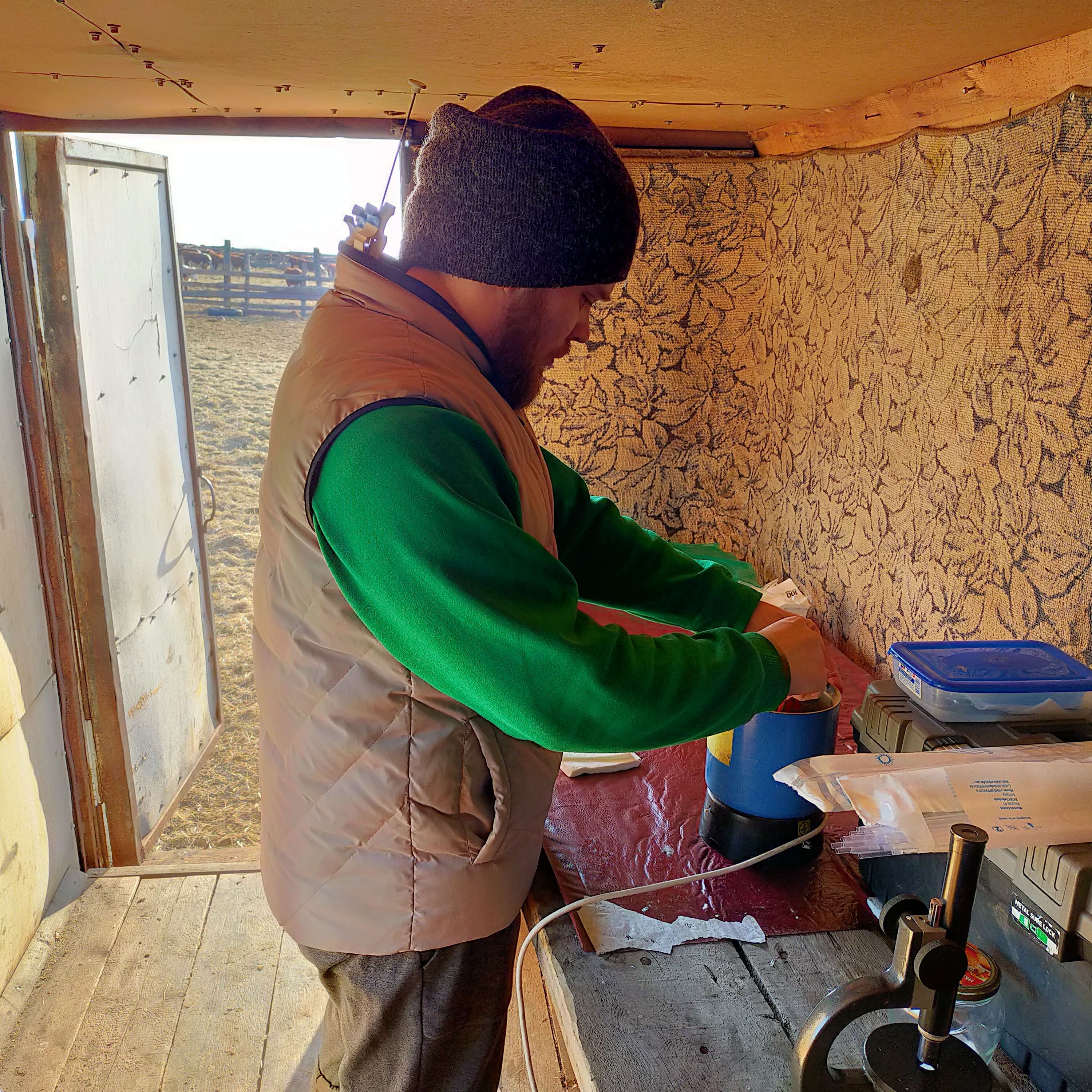 Миниатюра 3