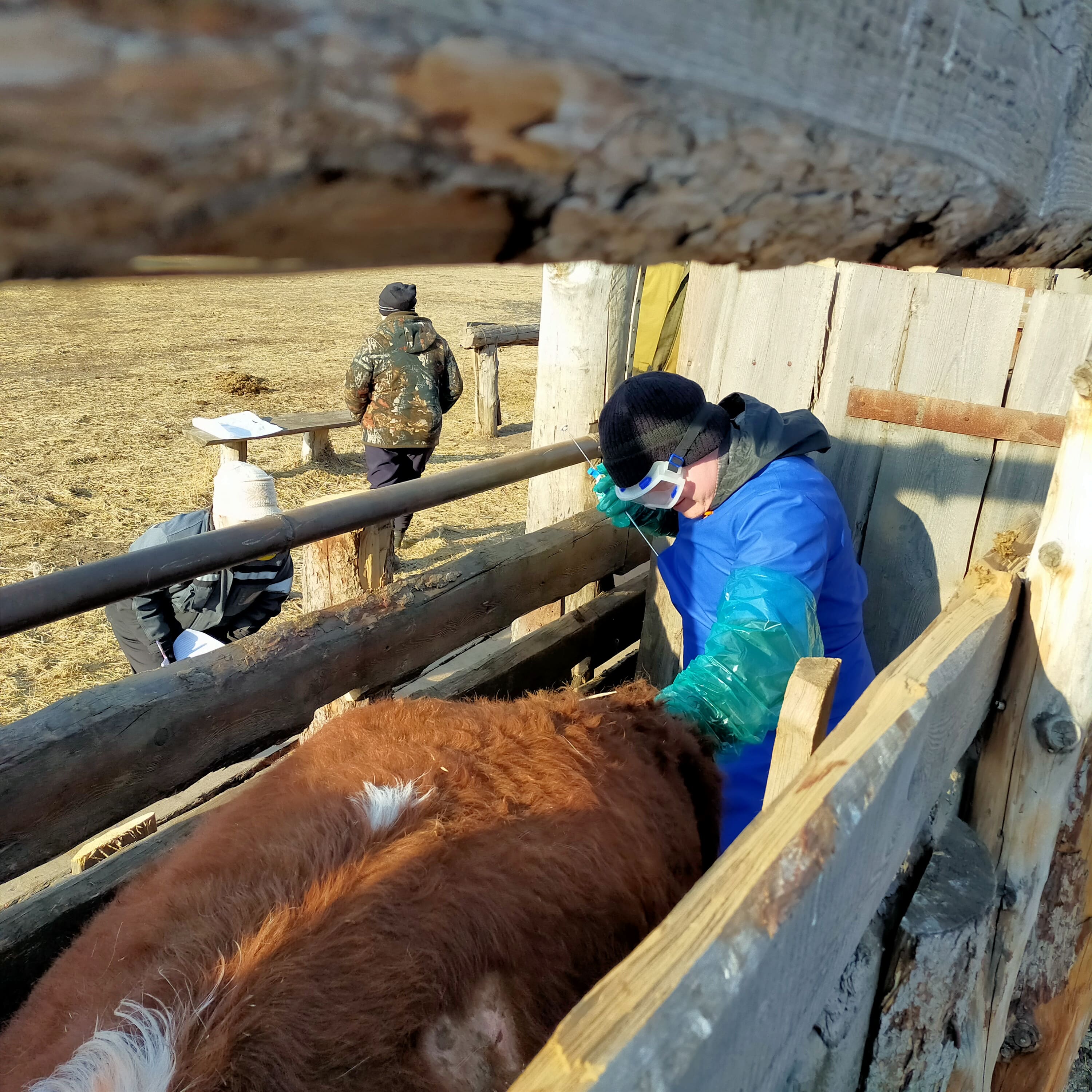 Миниатюра 4