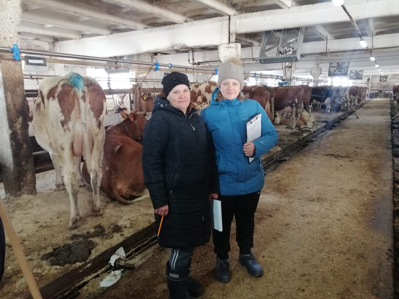 Миниатюра 2