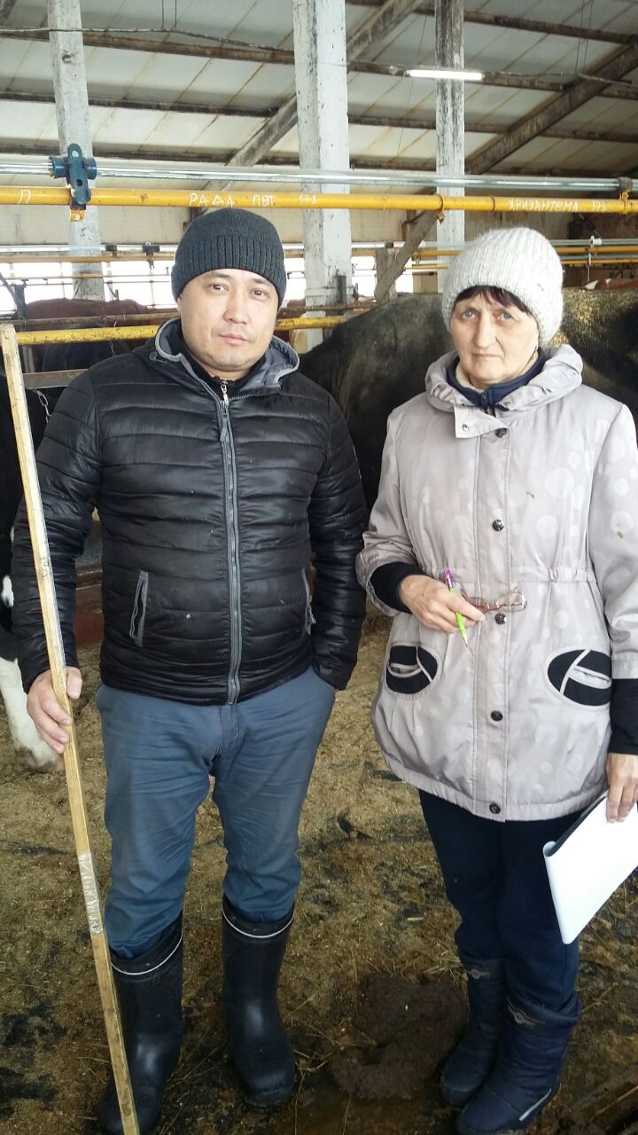 Миниатюра 5