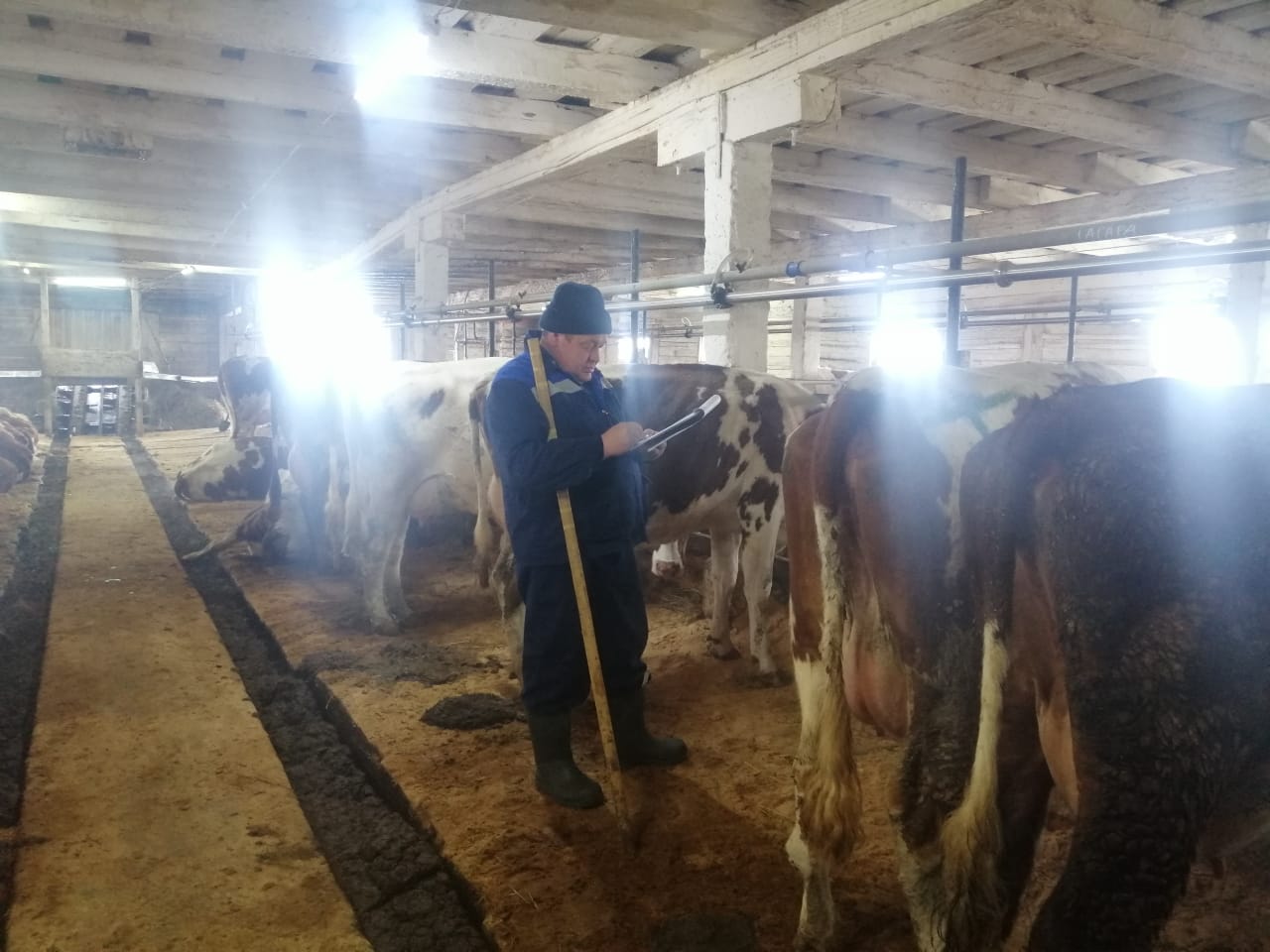 Миниатюра 6