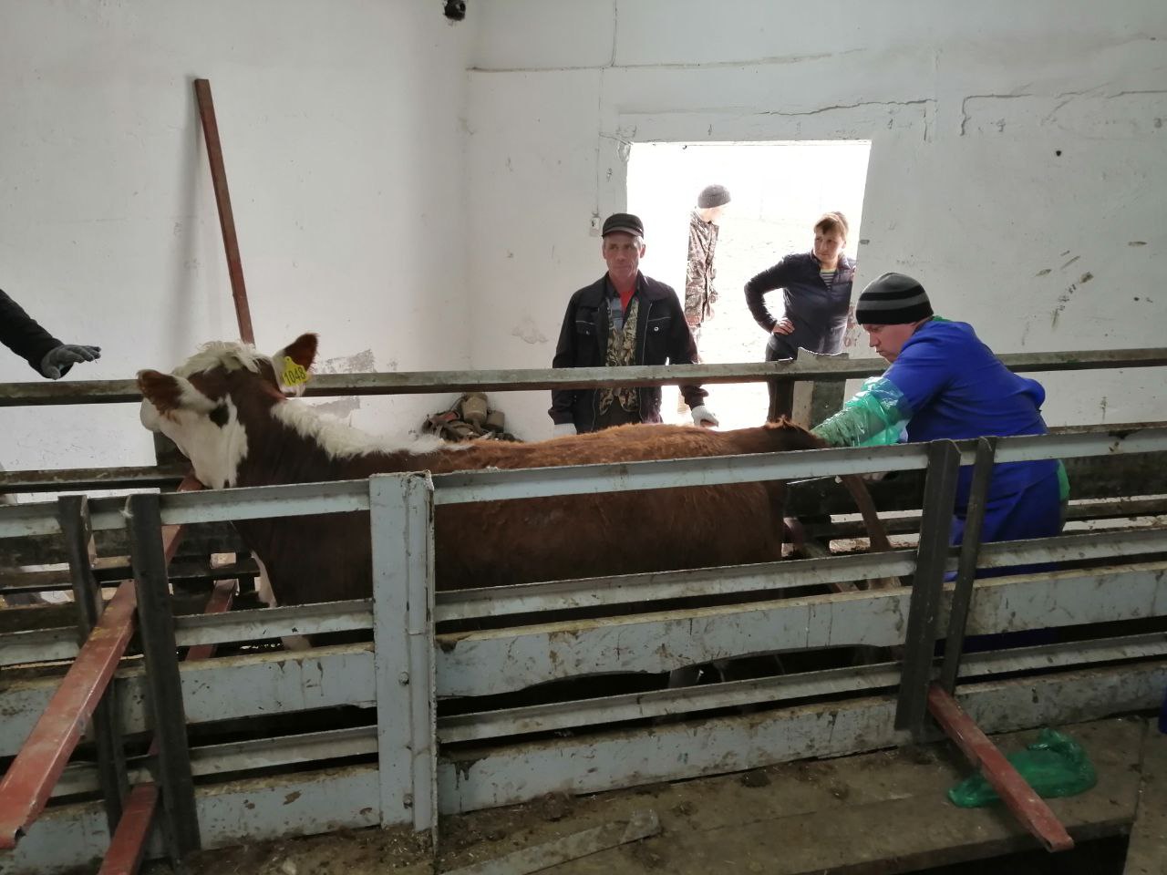 Миниатюра 2