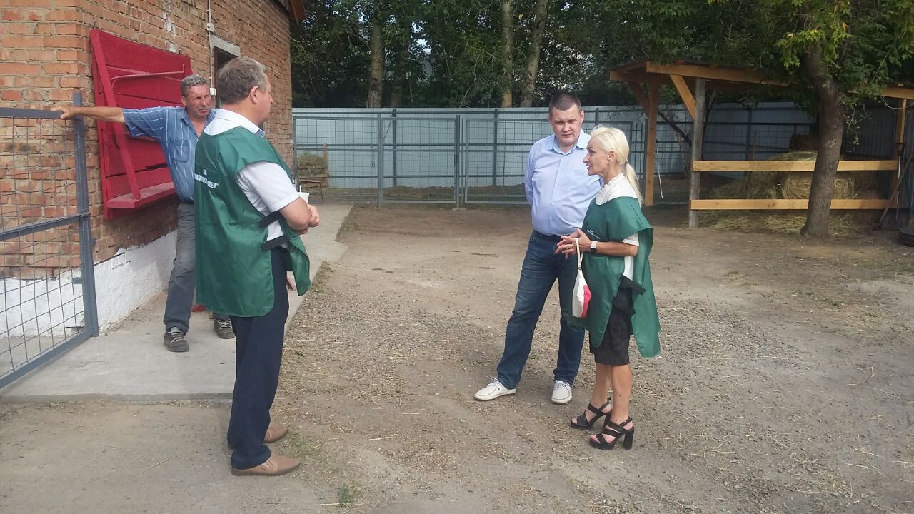 Миниатюра 2