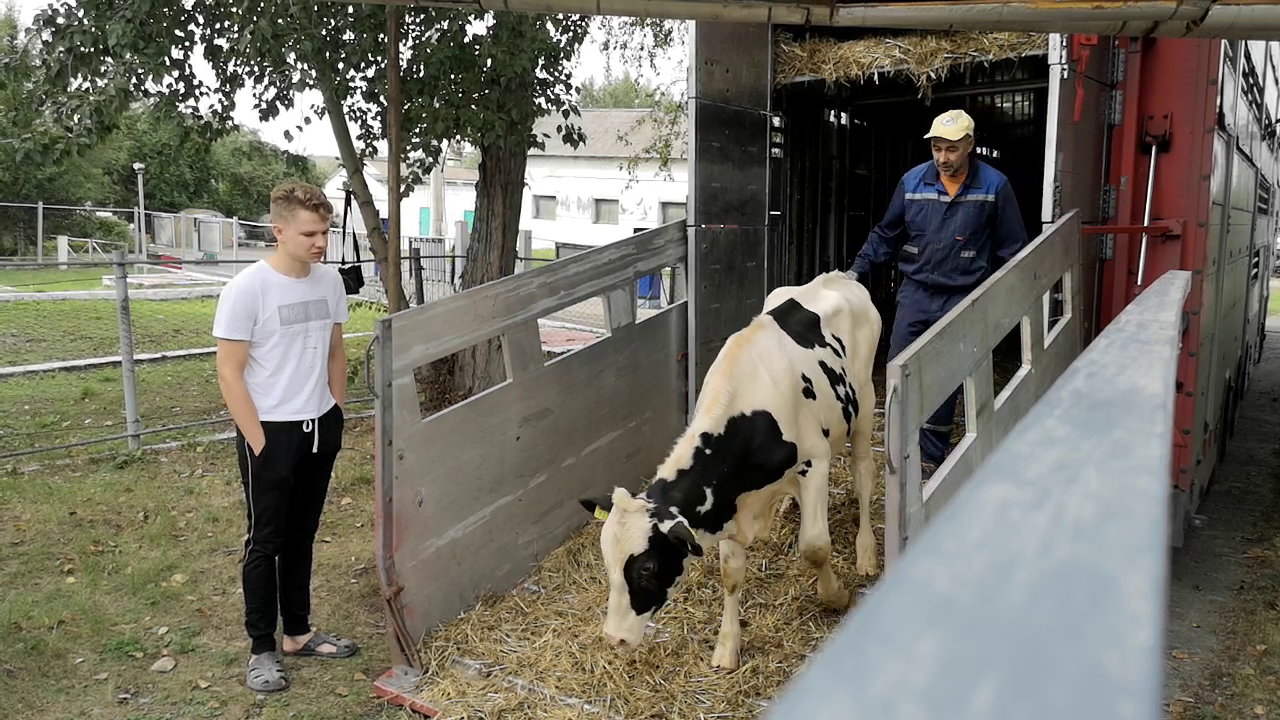 Миниатюра 2