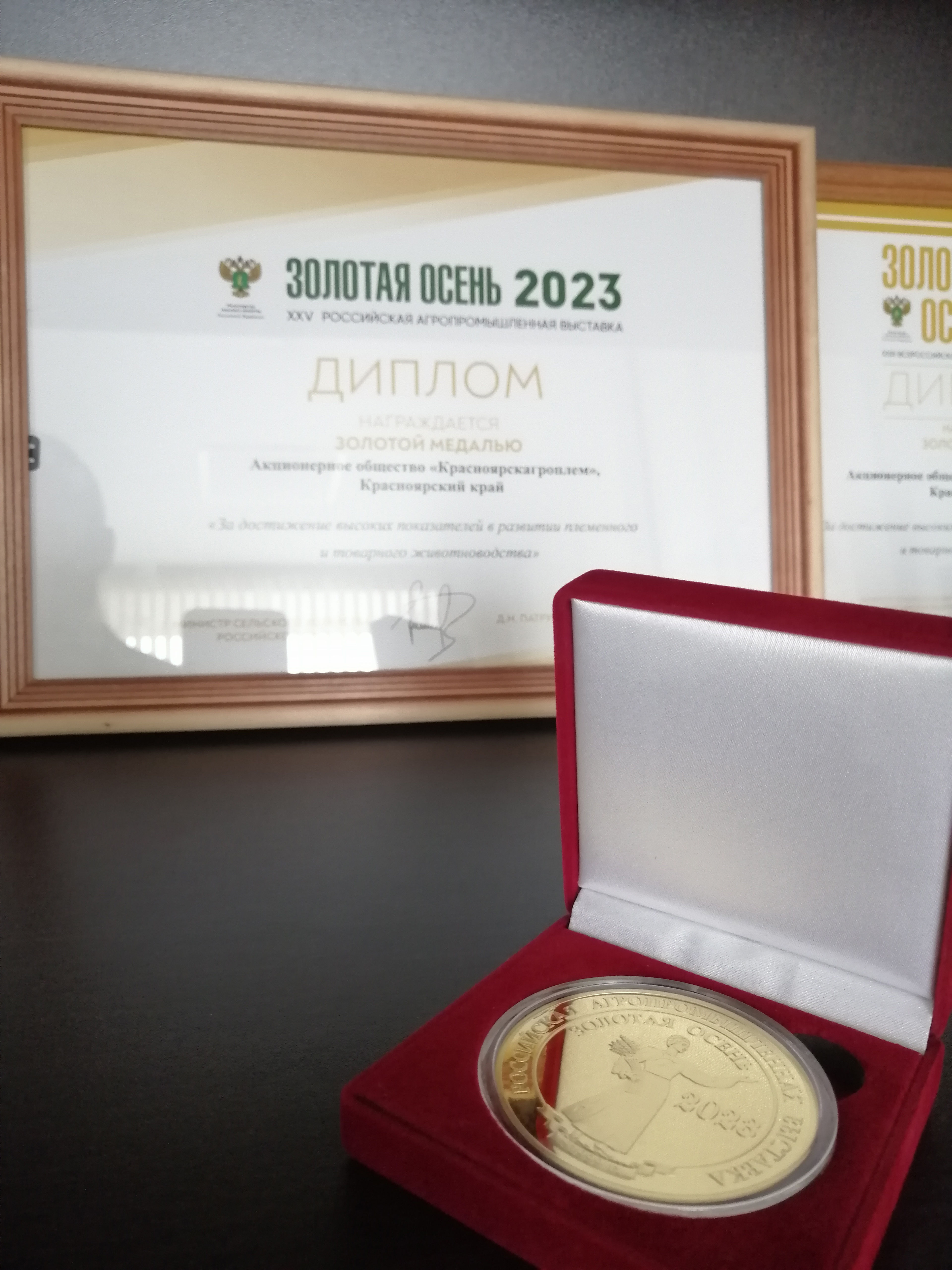 Золотая осень 2023