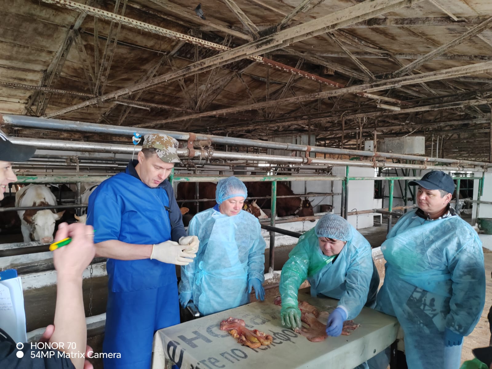 Обучение с АНО "Хабаровскплемсервис"