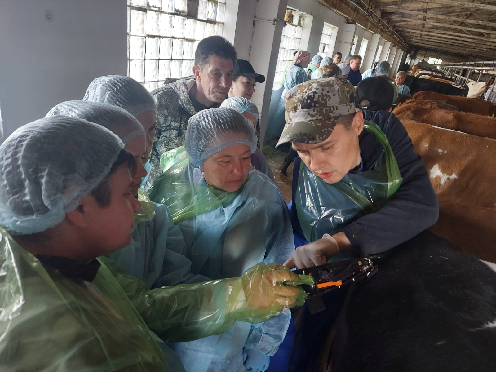 Миниатюра 2