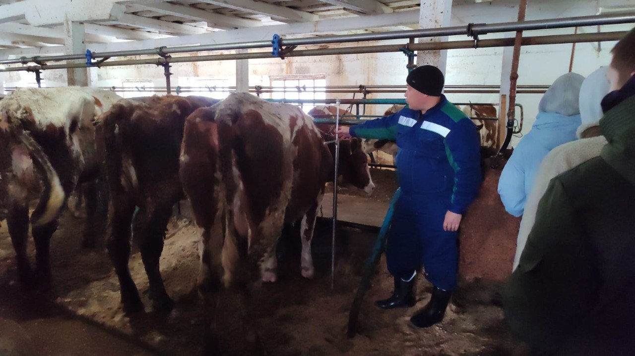 Миниатюра 3