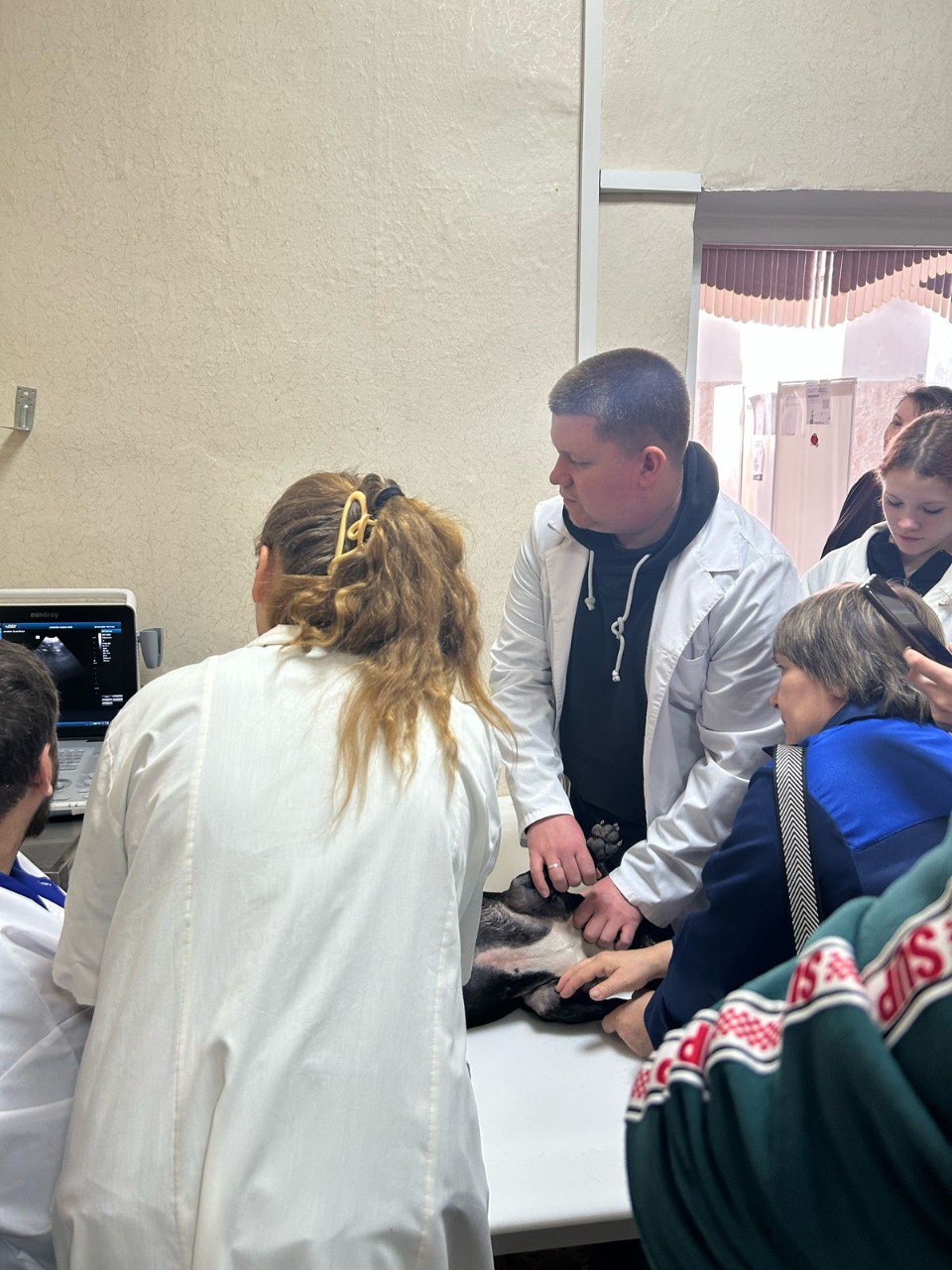 Миниатюра 4