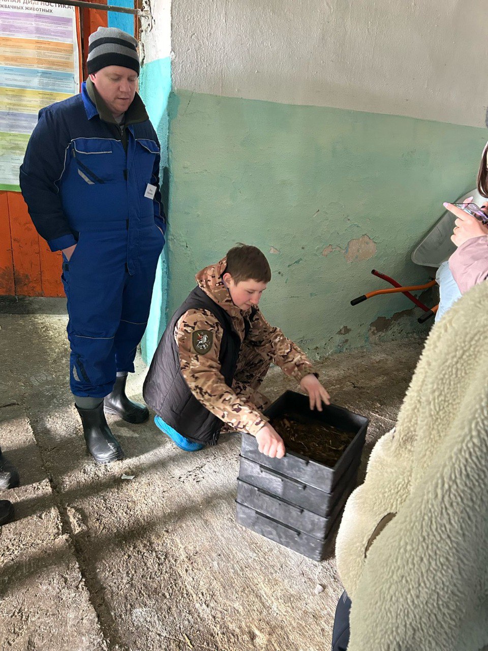 Миниатюра 6