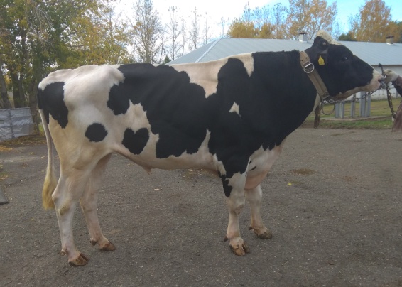 ДЭВИС-Н 8384 ET ГГФ-63