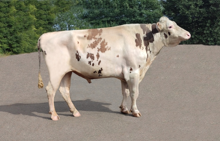 ФИНАЛИСТ 6932 ET