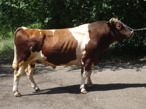 МАРКЕР 21518 КСКП-173