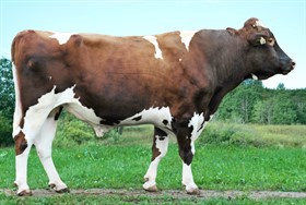 ПЛАНЕТ 10928262 МГФ-1012