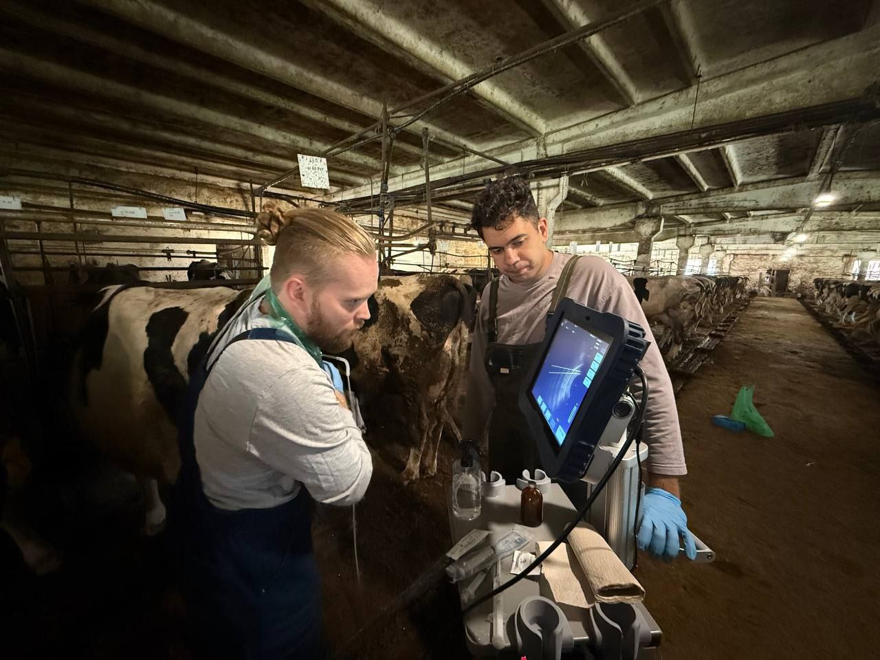 Курсы повышения по